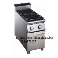 900 Series Chinese Style 2-Burner Gas Range With Cabinet (Bếp Á 2 họng dùng ga liền tủ) FEGR0409GC