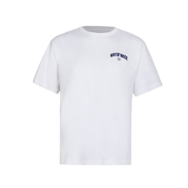  Áo T-shirt Li-Ning Nam AHSU169-2V 