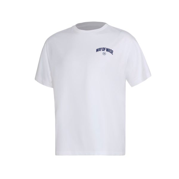  Áo T-shirt Li-Ning Nam AHSU169-2V 