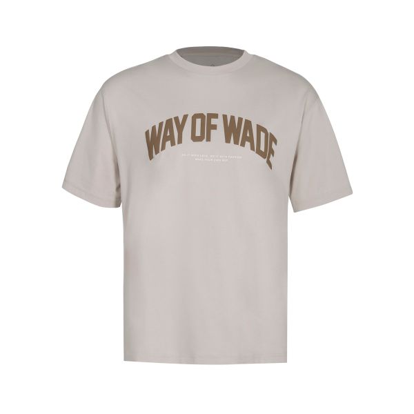  Áo T-shirt Li-Ning Nam AHSU173-6V 