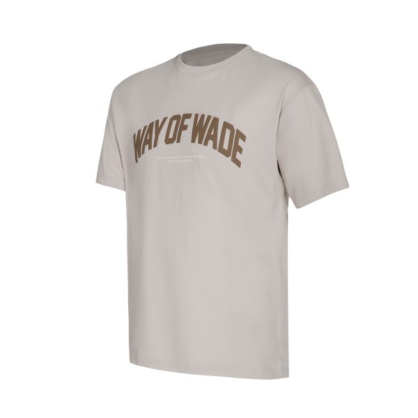  Áo T-shirt Li-Ning Nam AHSU173-6V 