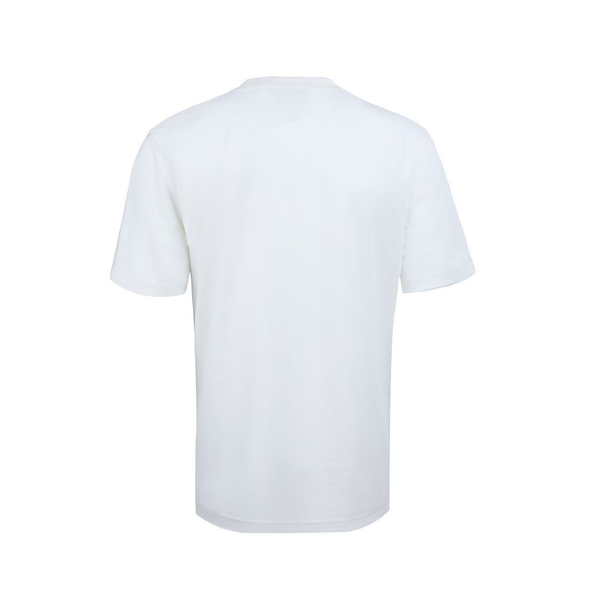  Áo T-shirt Li-Ning Nam AHSU533-3V 