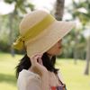 Nón Cói Raffia Chóp Tròn Dạng Nửa Vành Lưỡi Trai 8cm - BO SAU