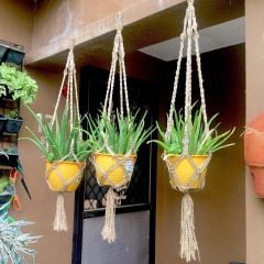Lưới Cói Abaca Móc Macrame Treo Chậu Cây