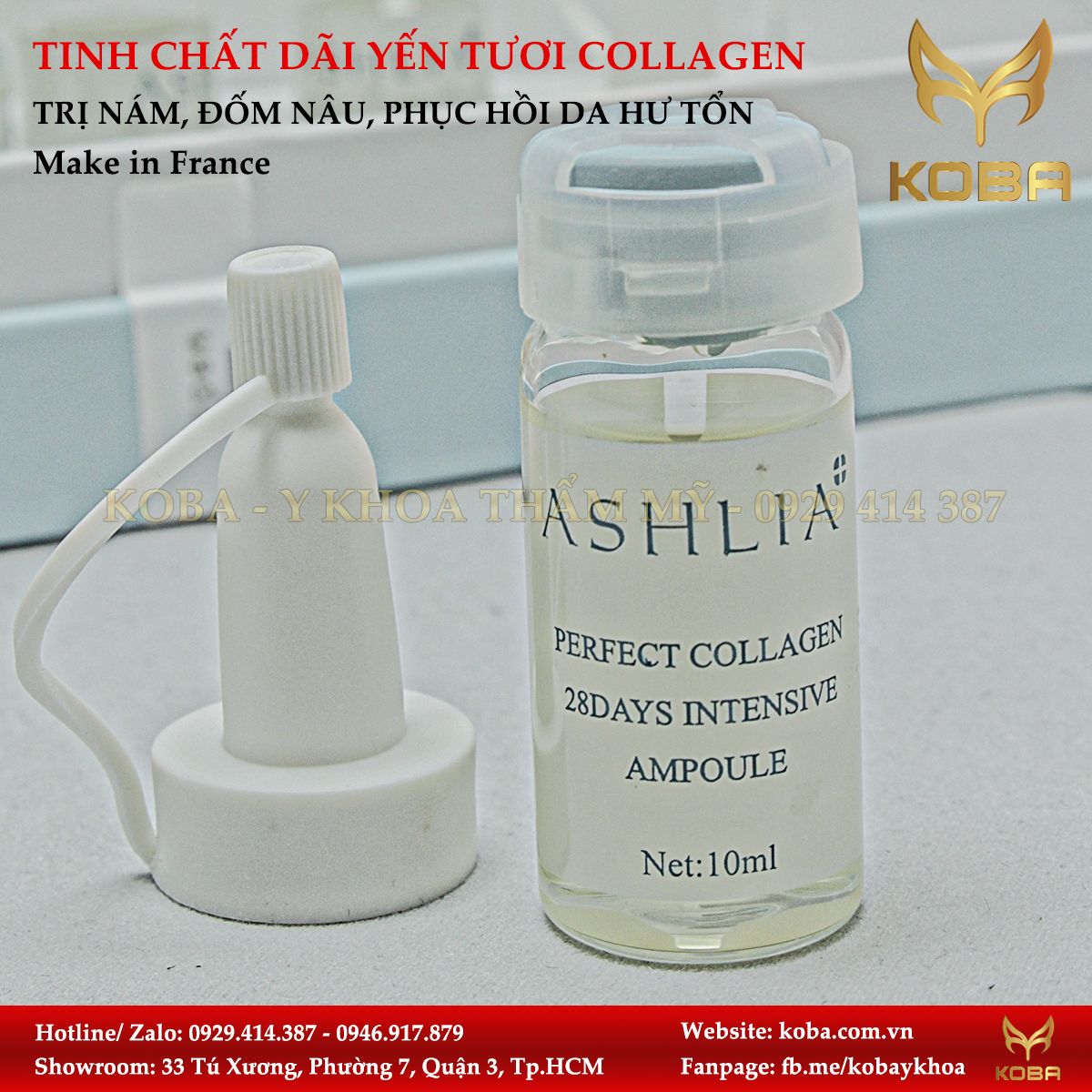 Tinh Chất Dãi Yến Tươi Collagen Ashlia (Pháp)