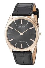 Citizen AR3073-06E