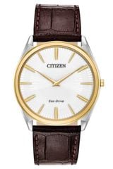 Citizen AR3074-03A