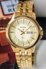 Citizen BF2013-56P