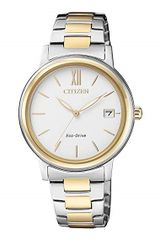 Citizen FE6094-84A