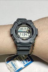 Casio WS-1300H-8AVDF