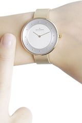 Skagen SKW2141