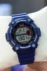 Casio WS-1300H-2AVDF