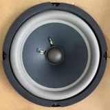 Loa BOSE 6.5