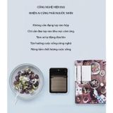 Hộp tăm để bàn cảm ứng SVAVO tia UV diệt khuẩn - The Royal's