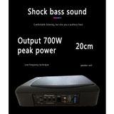 Loa Sub Gầm Ghế PIONEER 850w Chất Lượng Hàng Đầu Nhật Bản TS-BW250LA Bass chủ động âm trầm nặng Loa Siêu Trầm cao cấp