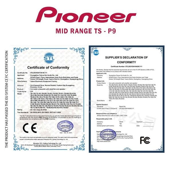 Loa trung tần Pioneer TS-P9
