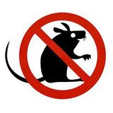 Ron Cao Su Dán Khe Hở Chân Cửa Ngăn Bụi Nước Côn Trùng-Trong kích thước 25 35 45mm-Gioăng dán cửa cao su