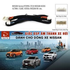 Dây cắm Amply / DSP  kết nối đầu zin cho xe ô tô Cho Ô Tô Nissan TERRA, KICK, ALTIMA, CUBE, VERSA, NV Plug & Play