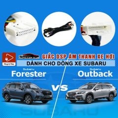 Dây cắm Amply / DSP  kết nối đầu zin cho xe ô tô Cho Ô Tô SUBARU Forester và Outback Plug & Play