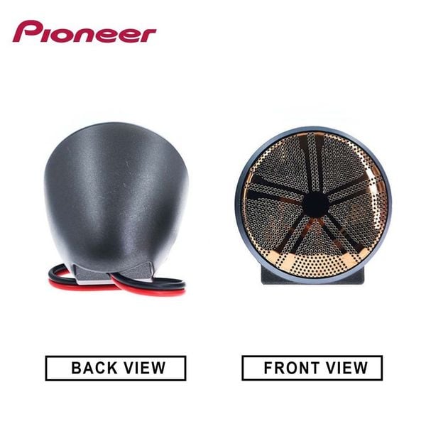 Loa trung tần Pioneer TS-P9