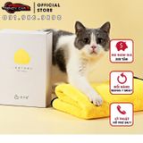 Khăn Lau Kính Xe Hơi 3M Siêu Thấm Nước, Bụi Bẩn - Không Kể Lại Vết Bẩn ⚡️Freeship 50k - Toàn quốc