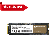 Ổ cứng SSD Dynabook AX5300 500GB M.2 NVMe PCIe Gen 3x4
