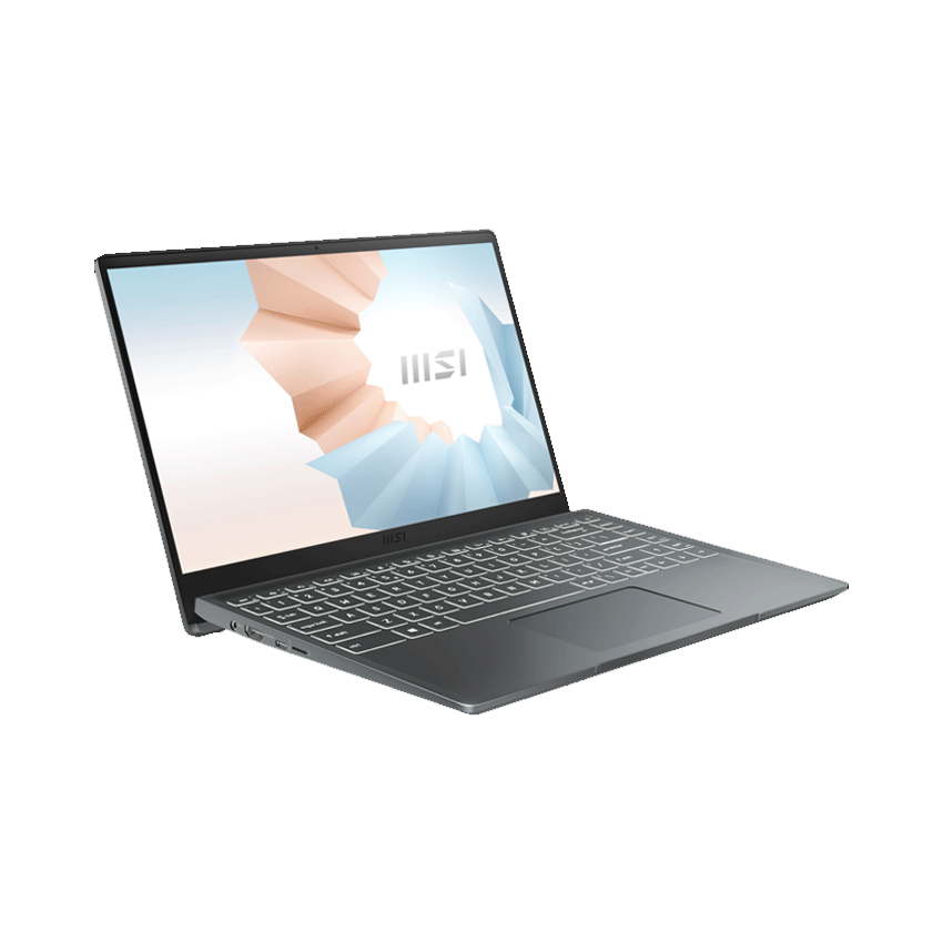 Laptop MSI Modern 14 (B10MW-605VN) (i3 10110U/8GB RAM/256GB SSD/14.0 inch FHD/Win10/Xám)