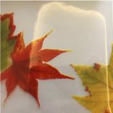 27 Mẫu Dán Kính - Vân Lá