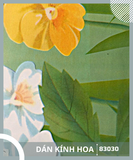 Decal Giấy Dán Kính - Vân Hoa - Dán Kính Nam Tân