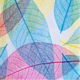 27 Mẫu Dán Kính - Vân Lá