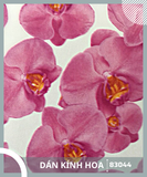 Decal Giấy Dán Kính - Vân Hoa - Dán Kính Nam Tân