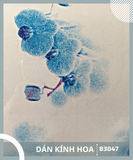 Decal Giấy Dán Kính - Vân Hoa - Dán Kính Nam Tân