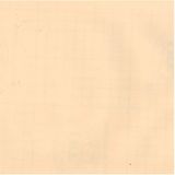 Giấy Dán Tường Vân Gỗ