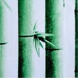 27 Mẫu Dán Kính - Vân Lá