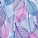 27 Mẫu Dán Kính - Vân Lá