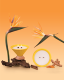  Nến Thơm Hà Nội - Nghệ 