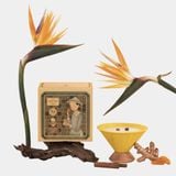  Nến Thơm Hà Nội - Nghệ 