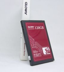 Ổ cứng SSD Gloway FER120GS3-S7 120GB SATA3 6Gb/s 2.5