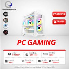 PC Gaming (i5 10400f | GTX 1060 | SSD 256 | VK550)