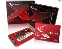 Ổ cứng SSD 240GB XSTAR SATA3 Drive 2.5 Inch Sequential Read 550MB/s - Red bảo hành chính hãng 36 tháng