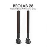  Loa Bluetooth B&O Beolab 28 