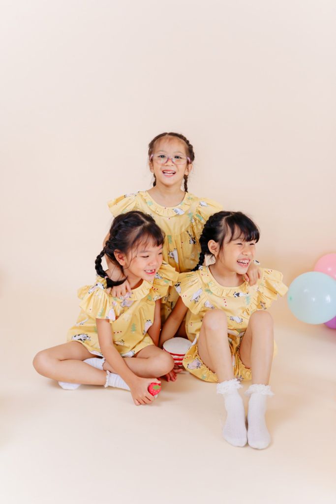  set bộ vàng con bò sữa 