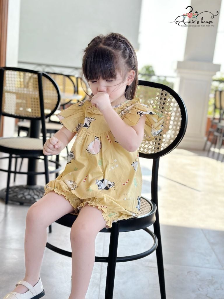  set bộ vàng con bò sữa 