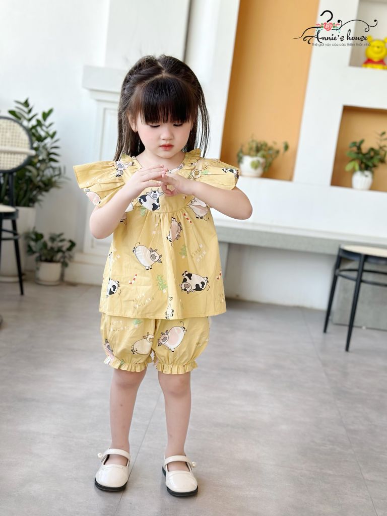  set bộ vàng con bò sữa 