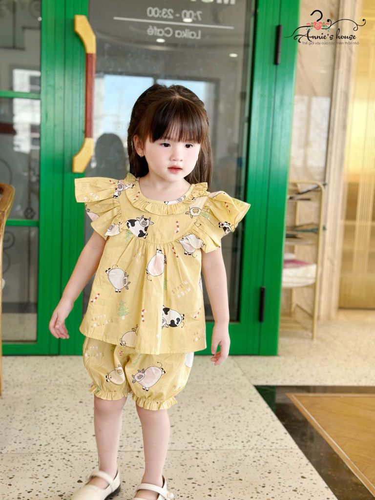  set bộ vàng con bò sữa 