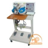 Máy đính hạt cườm hạt đá tự động bằng sóng từ 2 đầu hiệu Seungmin SM888-P