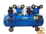 Máy nén khí dây đai PEGASUS TM-V-0.25/12.5x2-230L