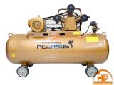 Máy nén khí dây đai PEGASUS TM-W-0.36/8-180L