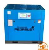 Máy nén khí trục vít Tiết Kiệm Điện PEGASUS 37KW TMBT50A