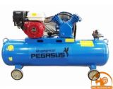 Máy nén khí chạy xăng Pegasus TM-V-0.25/8-100L